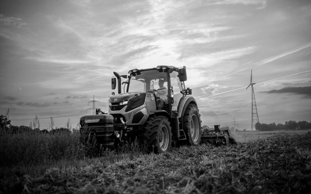 CBSG míří na Jičínský veletrh – přijďte se podívat